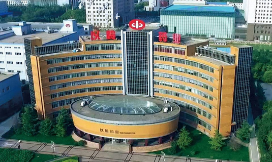 祝賀顆粒物過濾效率儀中標(biāo)石家莊以嶺藥業(yè)！